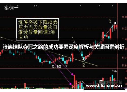 张德培队夺冠之路的成功要素深度解析与关键因素剖析